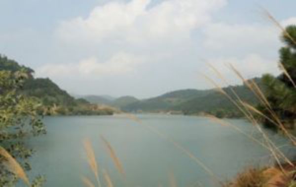 Đất ven hồ 11520m2 hồ sinh thái Đồng Đò, Minh Trí, Sóc Sơn