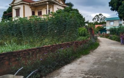 724,5m2 đất đẹp cho các khách yêu đầu tư,  phân lô. Phú Thịnh, Mình Phú Sóc Sơn